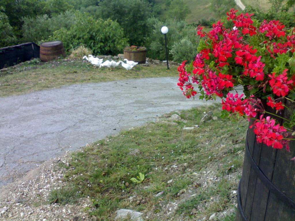 Aia Di Lazzaro Agriturismo Casalbore Extérieur photo